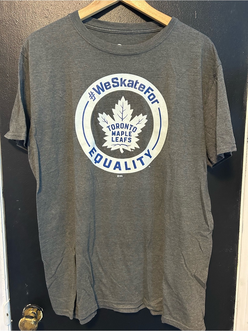 NHL Gray Toronto Maple Leafs Equality Graphic Tee